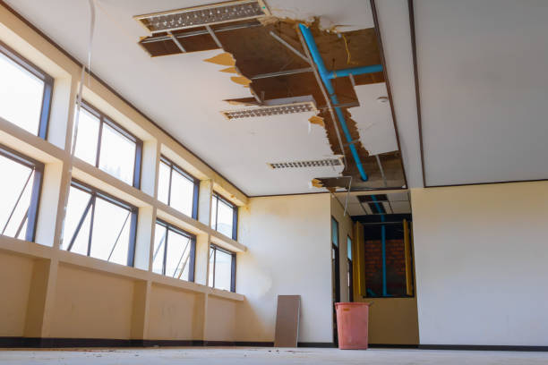 Best Carpet water damage restoration  in Stamford, CT