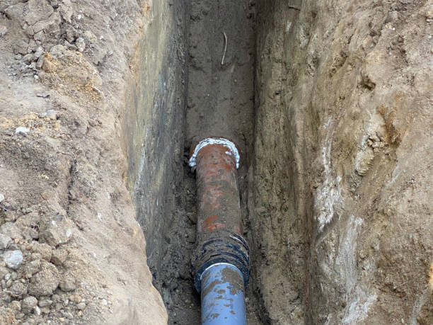 Best Flood damage cleanup  in Stamford, CT