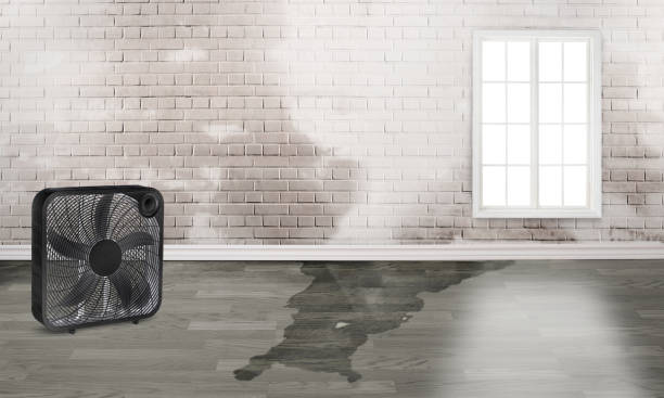 Best Commercial water damage restoration  in Stamford, CT