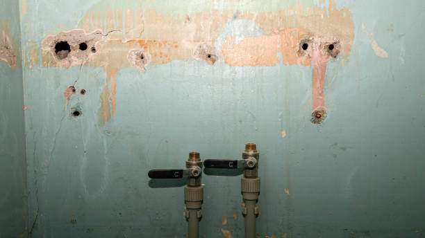 Best Water damage contractors near me  in Stamford, CT