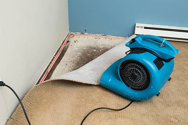 Best 24/7 water damage repair  in Stamford, CT